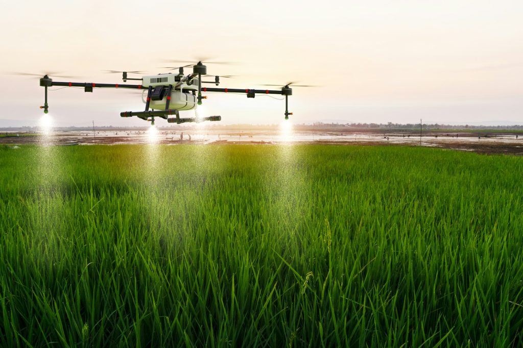 Agriculture drone flying on rice farm to sprayed fertilizer- Innovaciones del Uso de Drones en el sector de la Agricultura - RocDron, Operadora profesional de drones y entidad de formación