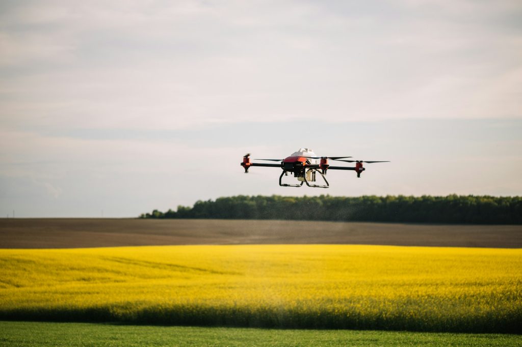 Agriculture drone flying on the green tea field at sunrise - Innovaciones del Uso de Drones en el sector de la Agricultura - RocDron, Operadora profesional de drones y entidad de formación