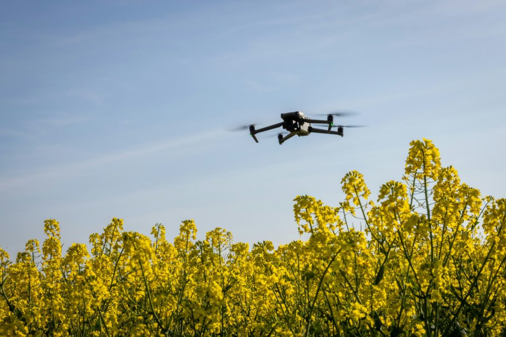 Drone on a Farm- Innovaciones del Uso de Drones en el sector de la Agricultura - RocDron, Operadora profesional de drones y entidad de formación