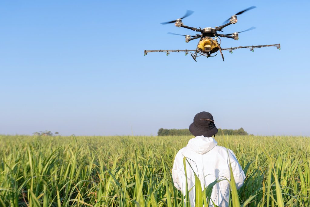 farmer navigating drone at rice field using high technology increasing productivity in agriculture - Innovaciones del Uso de Drones en el sector de la Agricultura - RocDron, Operadora profesional de drones y entidad de formación
